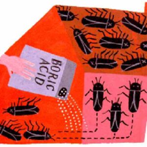 Get Rid of Cockroaches Image